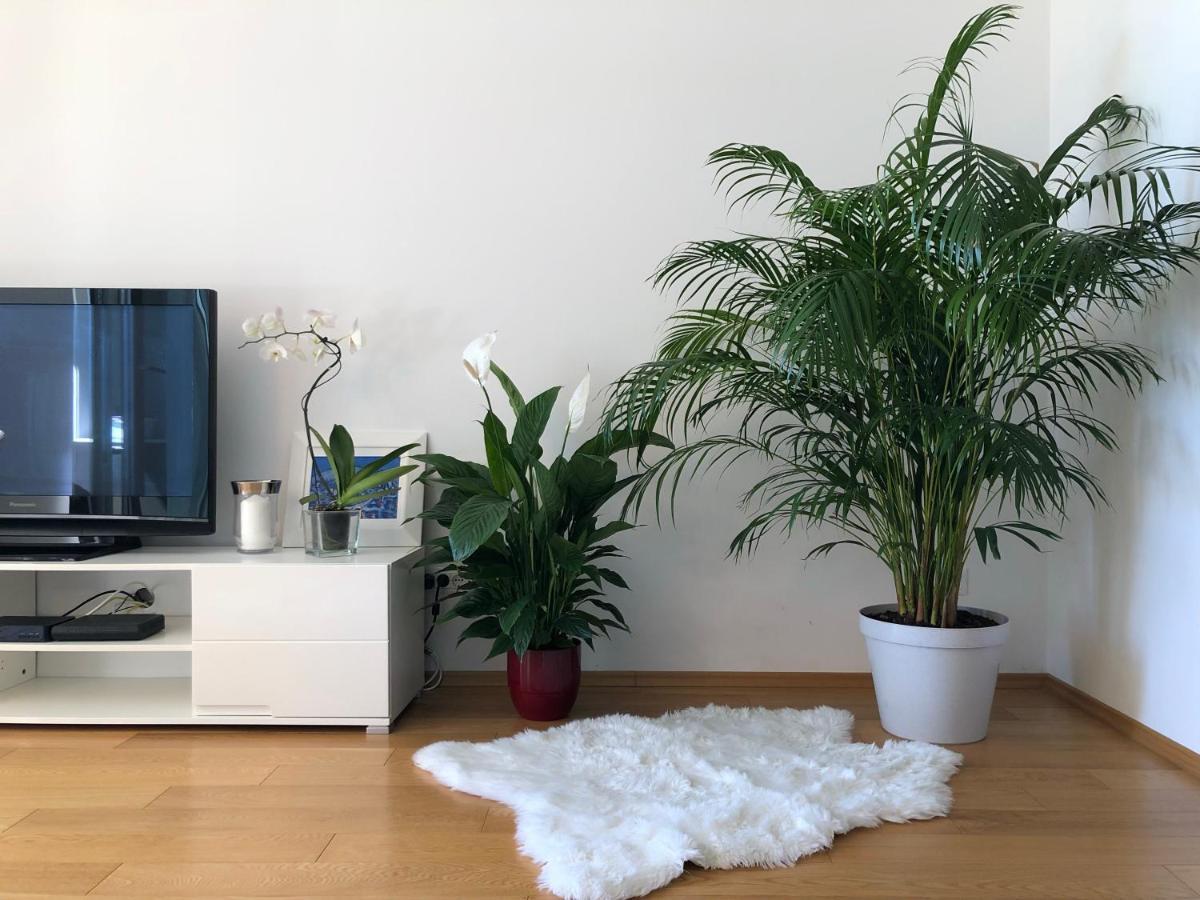Apartment Charming *